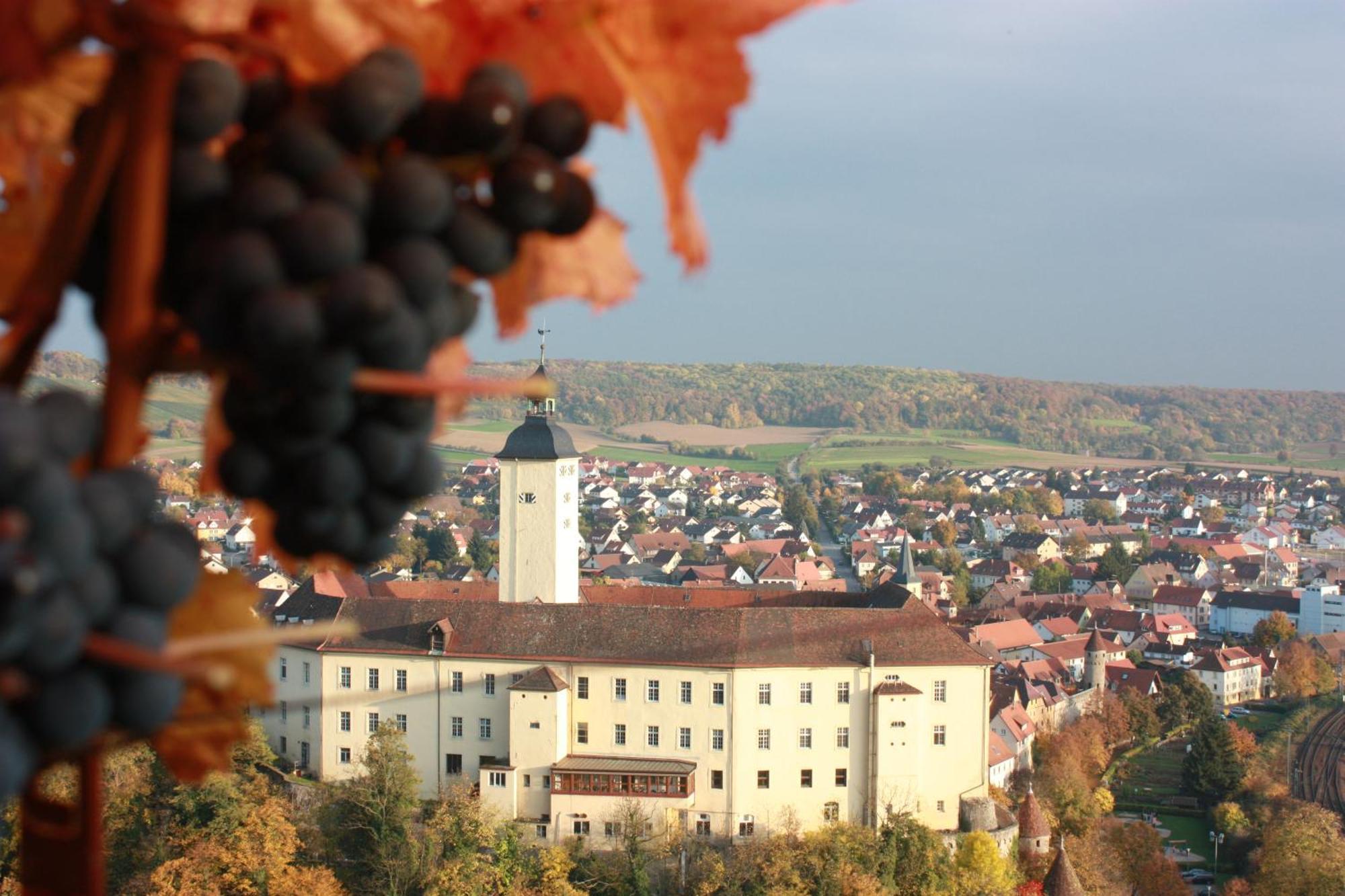 Schell Schokoladen Gundelsheim (Baden-Wurttemberg) Exterior foto